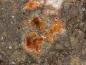 Preview: Cetineite