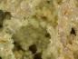 Preview: Hidalgoite