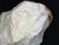 Preview: Anthoinite
