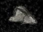 Preview: Osmium