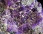 Preview: Sugilite