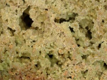 Hidalgoite
