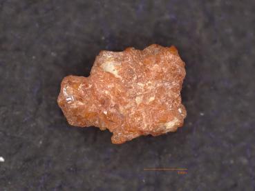 Eglestonite