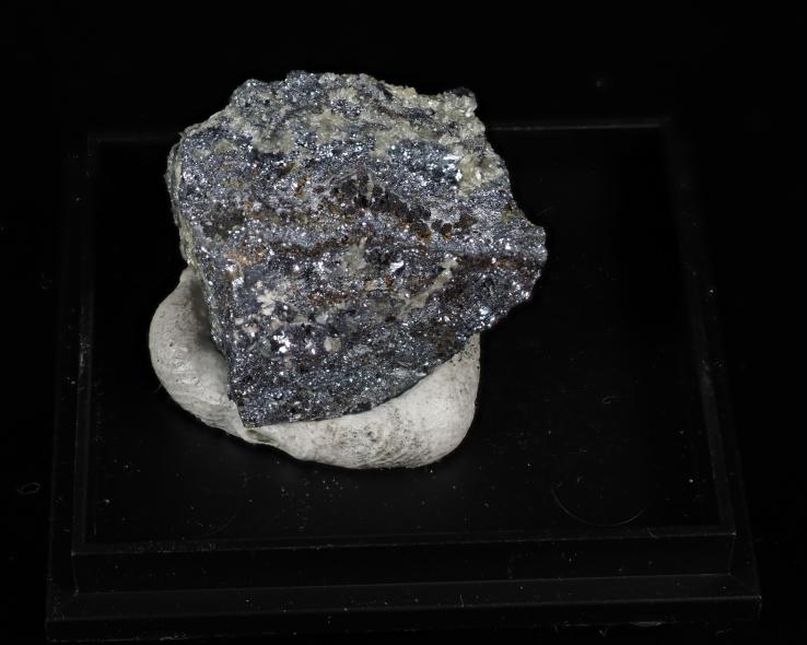 Preview: Pääkkönenit