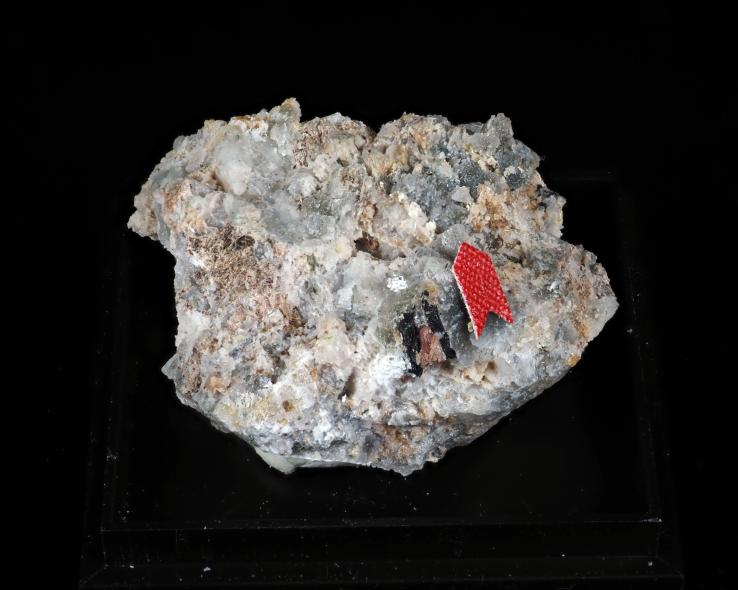 Preview: Penkvilksit