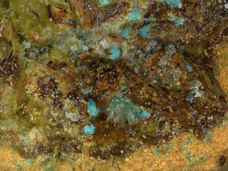 Preview: Marioantofilliit