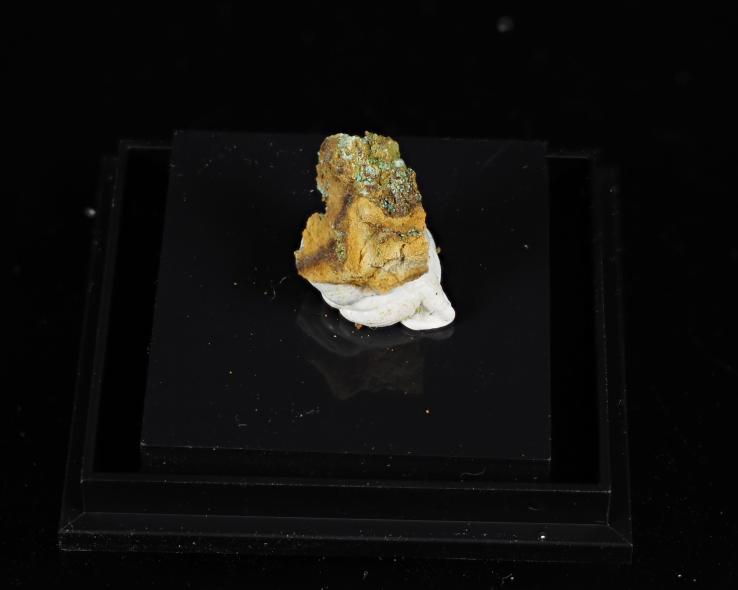 Preview: Marioantofilliit