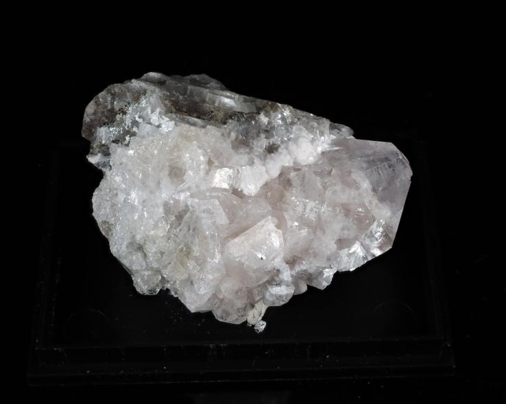 Preview: Shinichengit