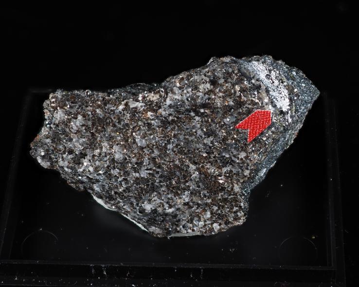 Preview: Lindqvistit