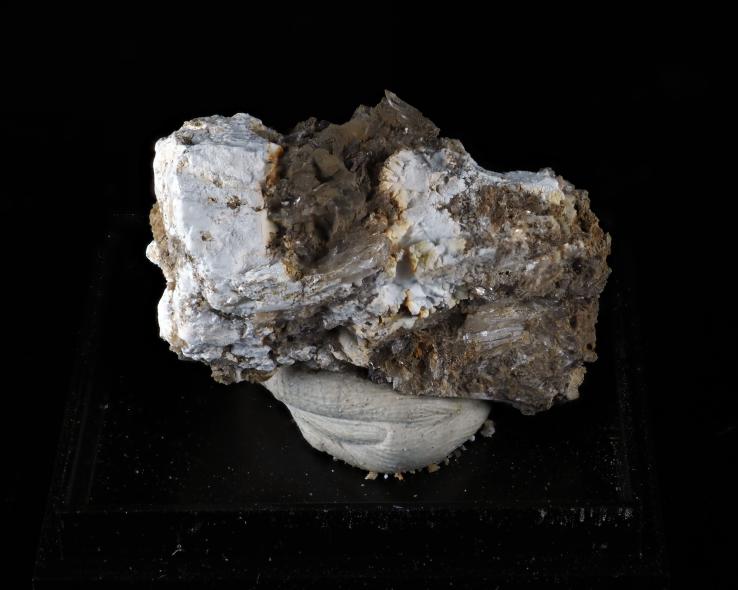 Preview: Felsőbányait