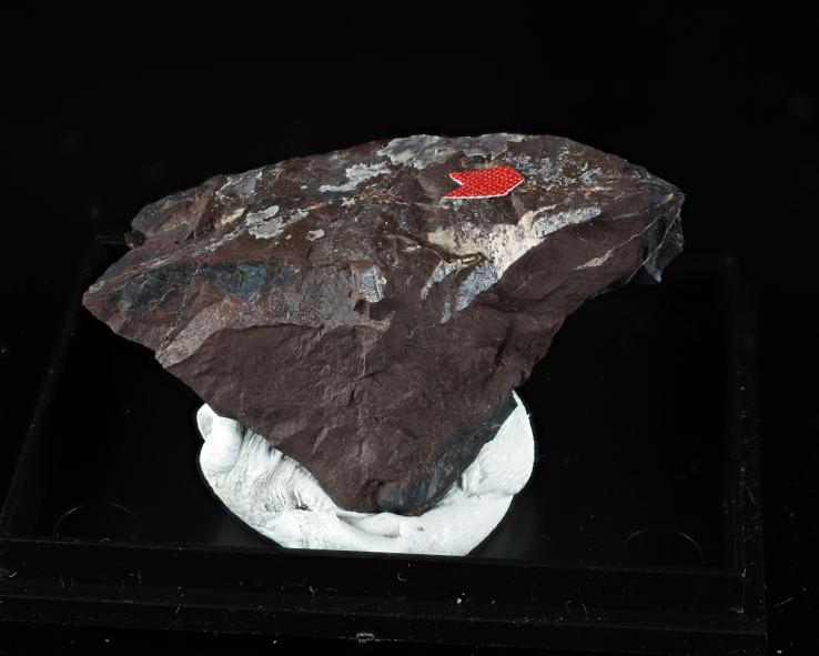 Preview: Castellaroit