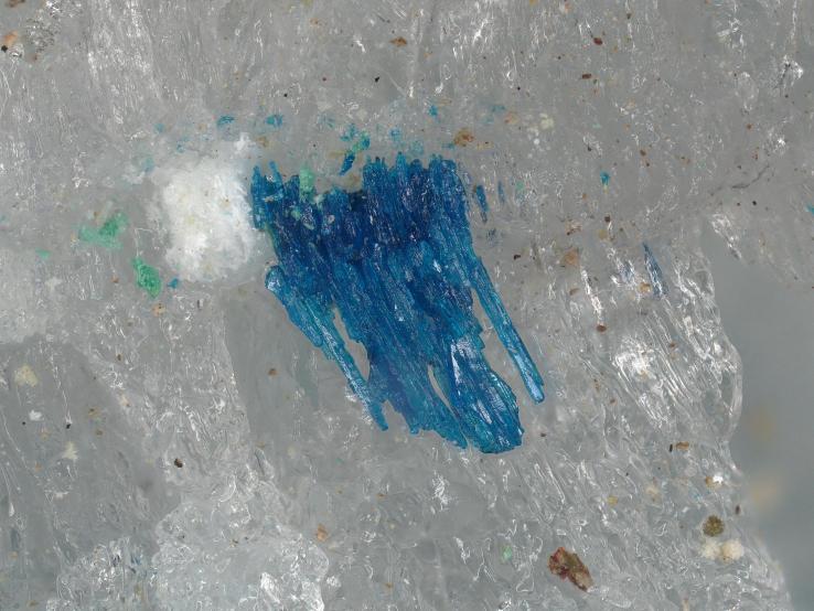 Ammineite