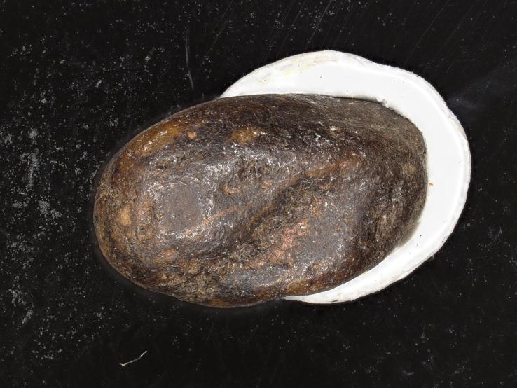 Bahianit