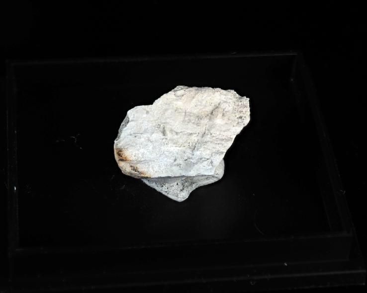 Preview: Anthoinite