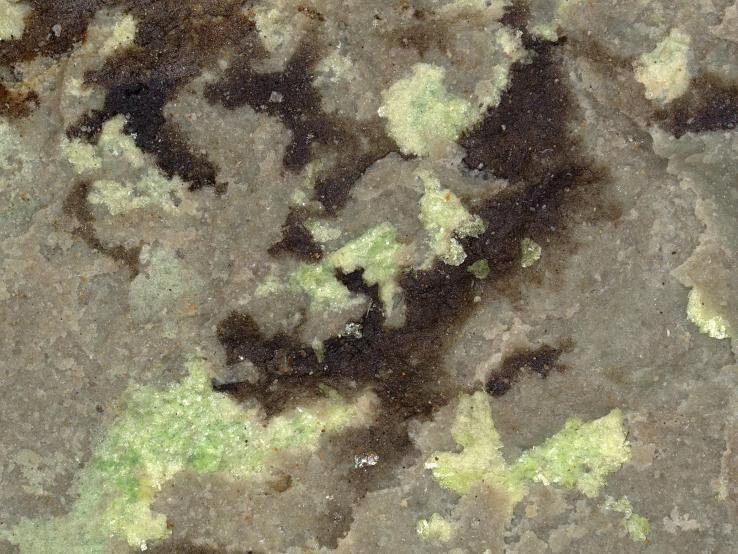 Abernathyite