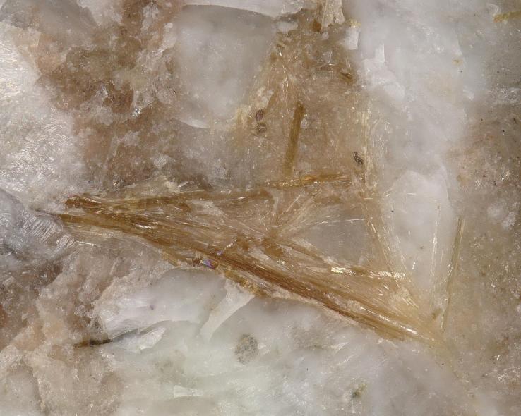 Fluorlamprophyllit