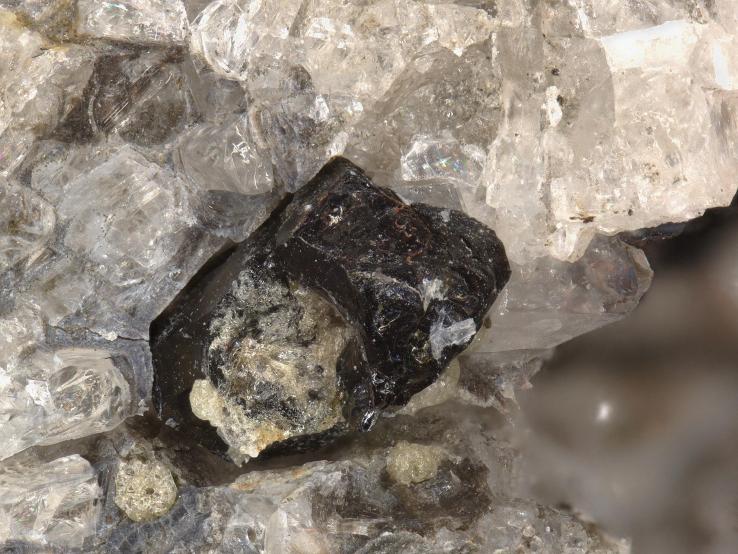 Ferro-ferri-hornblende