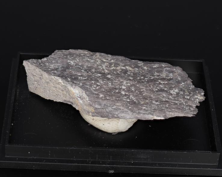 Vantasselit