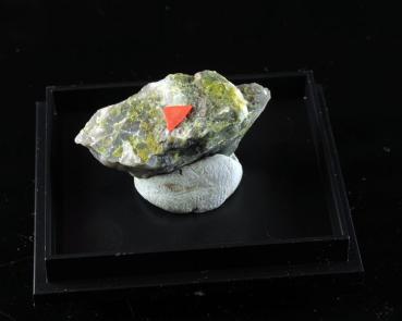 Cortesognoite