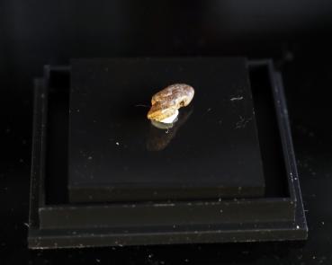 Bahianite