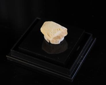 Lüneburgite