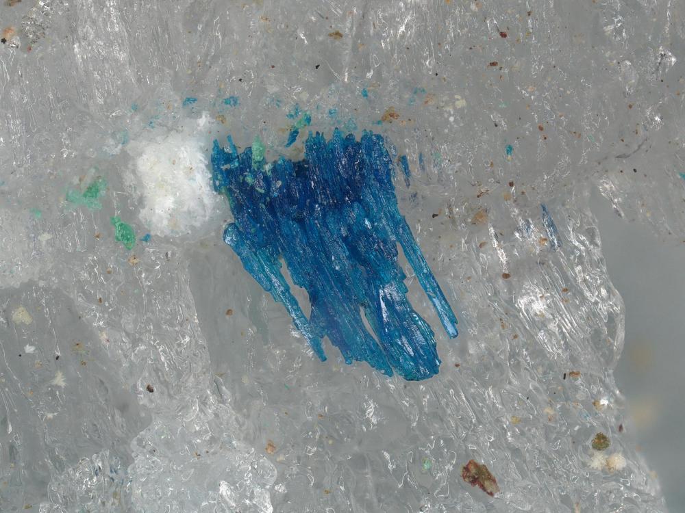 Ammineite