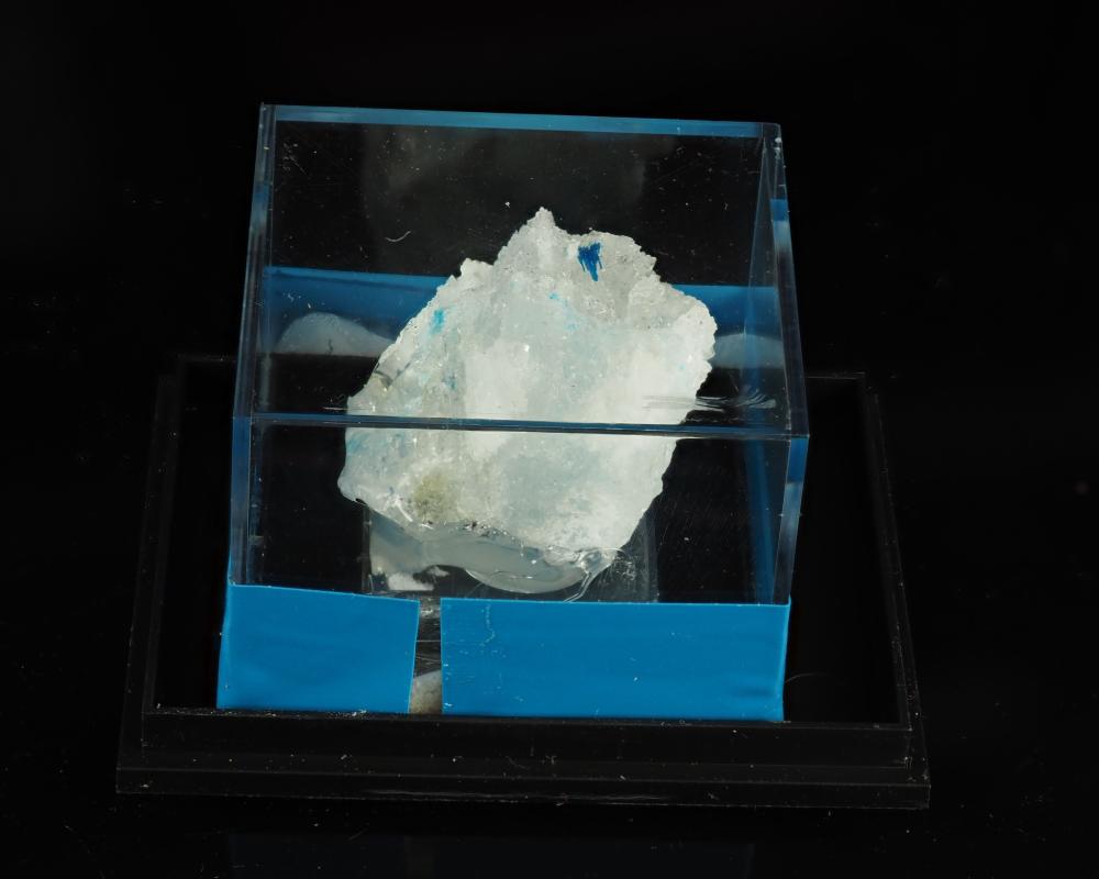 Ammineite