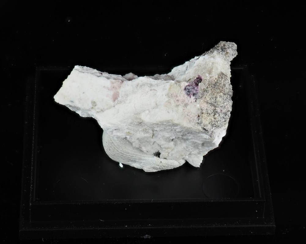 Aqualite