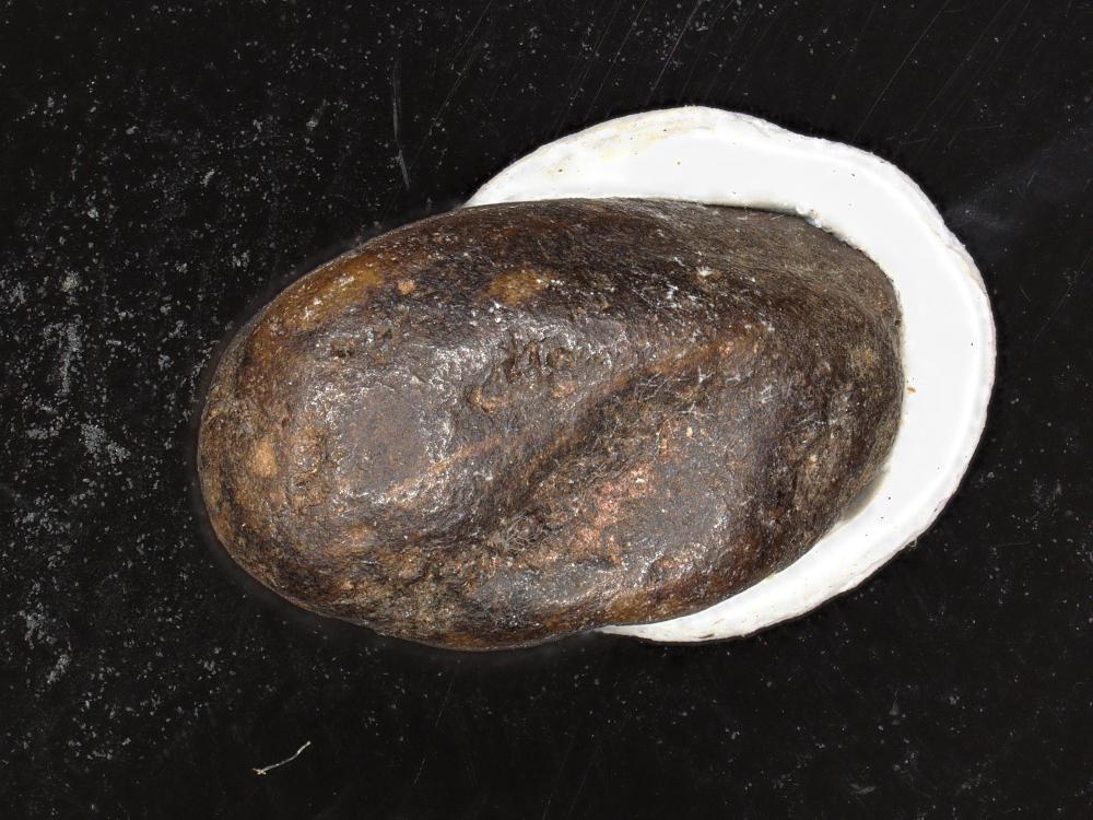 Bahianit