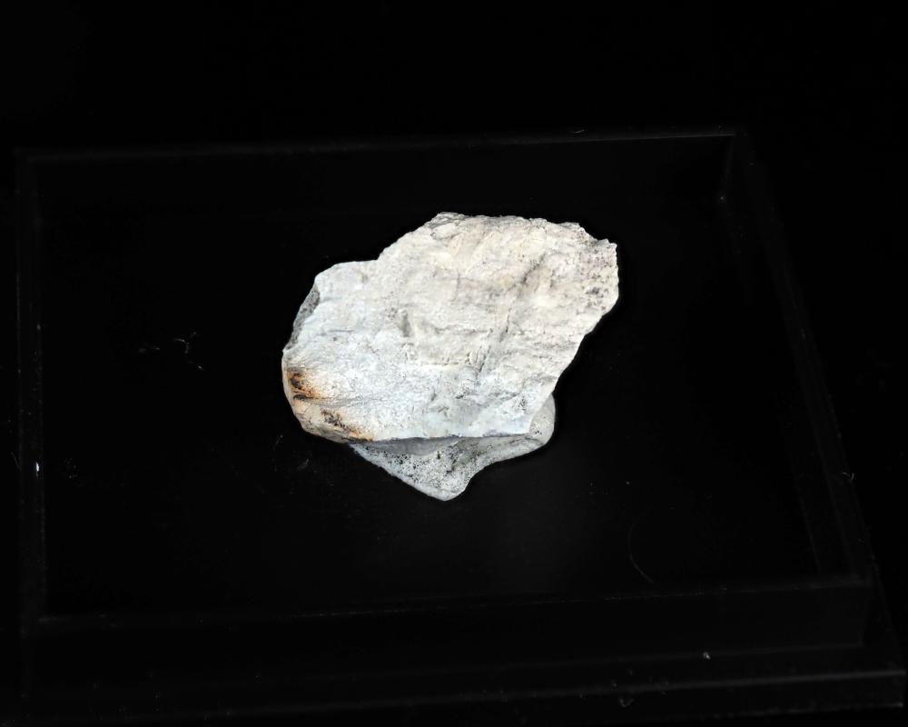 Anthoinite