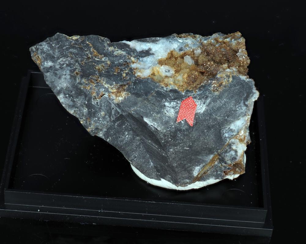 Tripuhyit