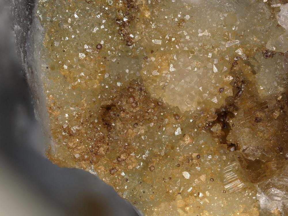 Tripuhyit