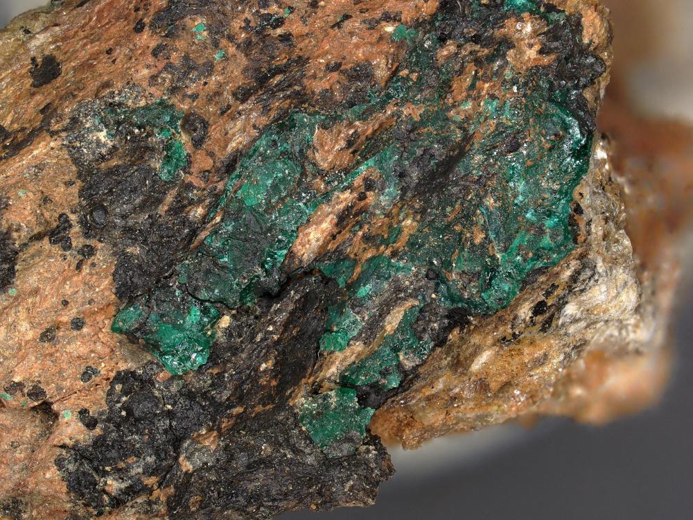 Euchroit