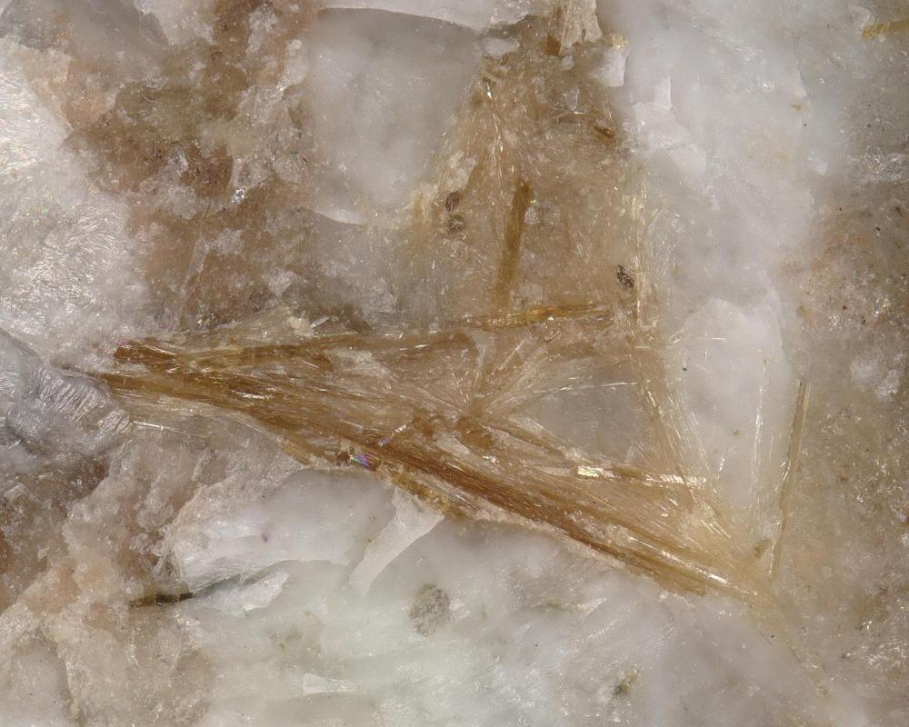 Fluorlamprophyllit