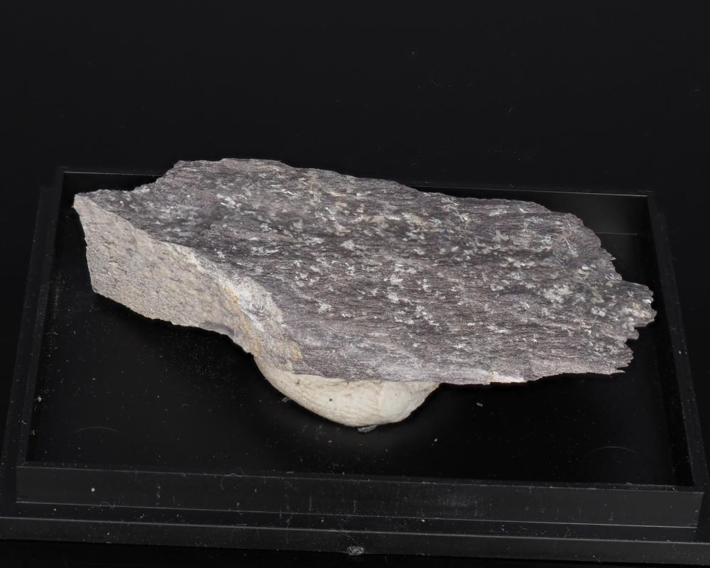 Vantasselit