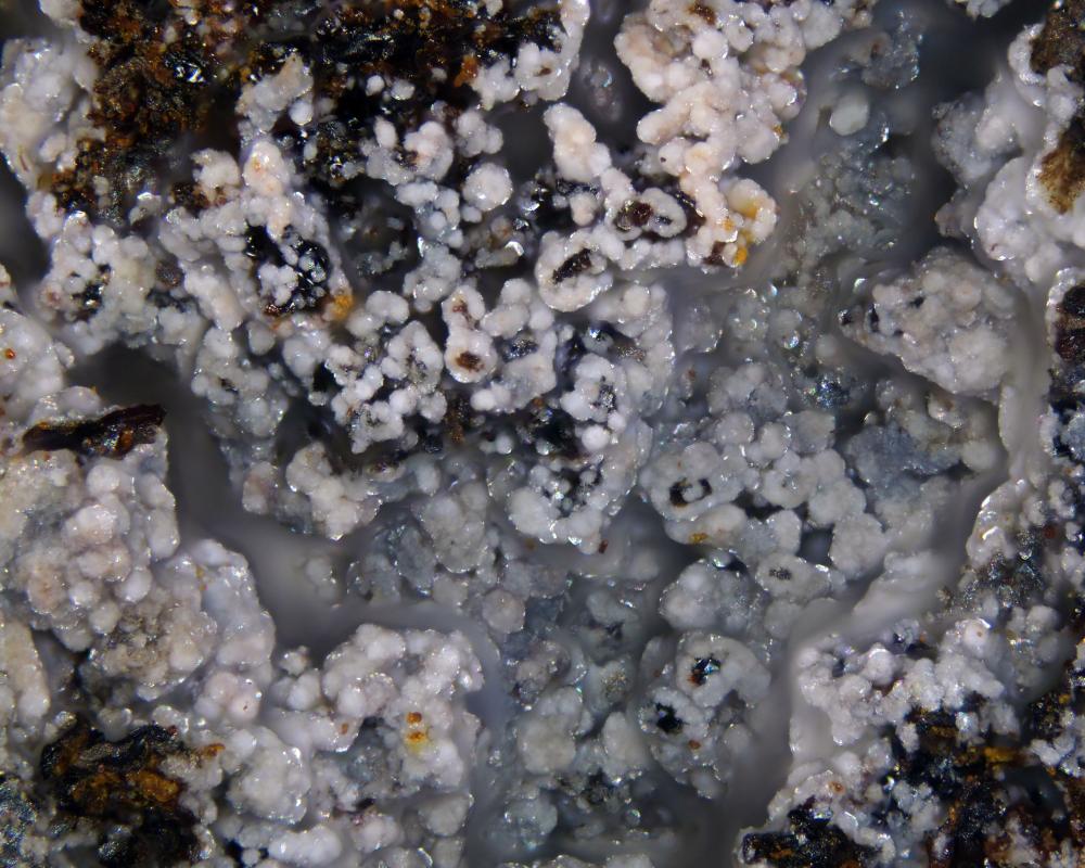 Arsenocrandallite
