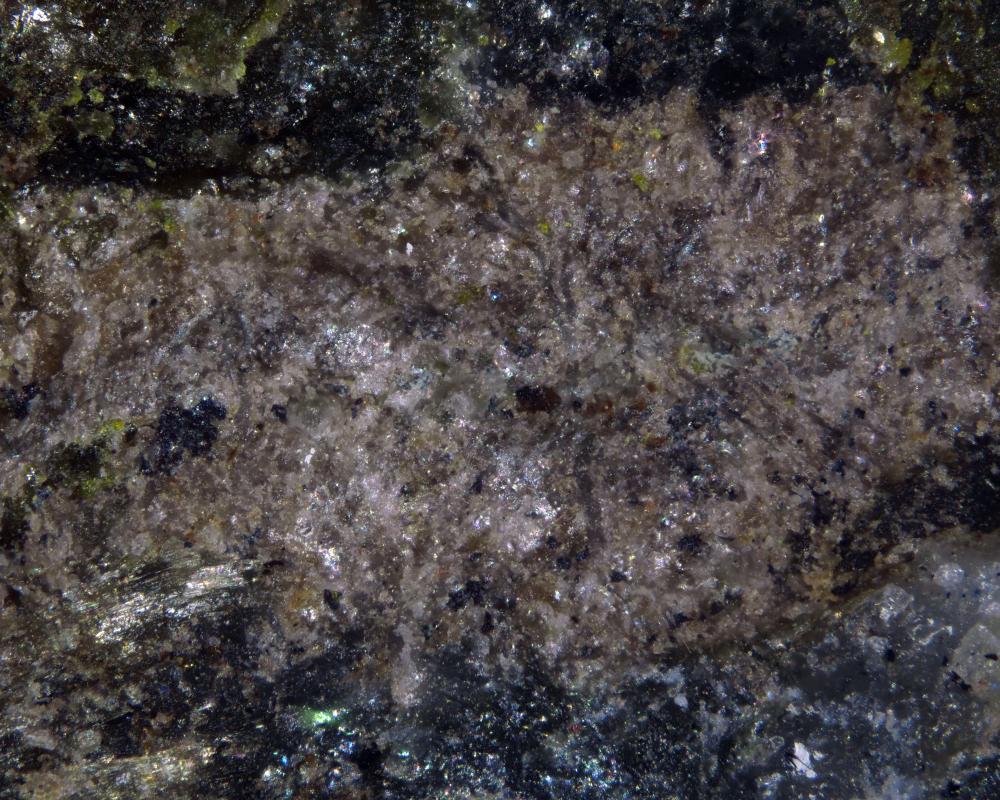 Cortesognoite