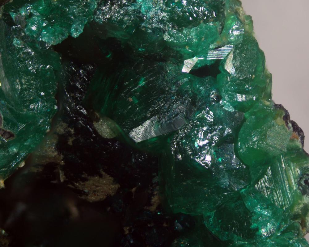 Euchroite
