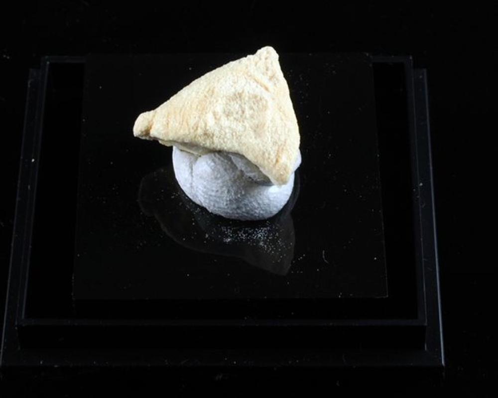 Lüneburgite