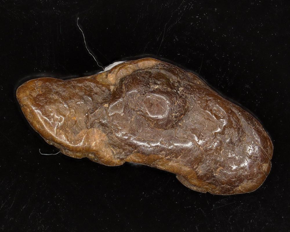 Bahianite