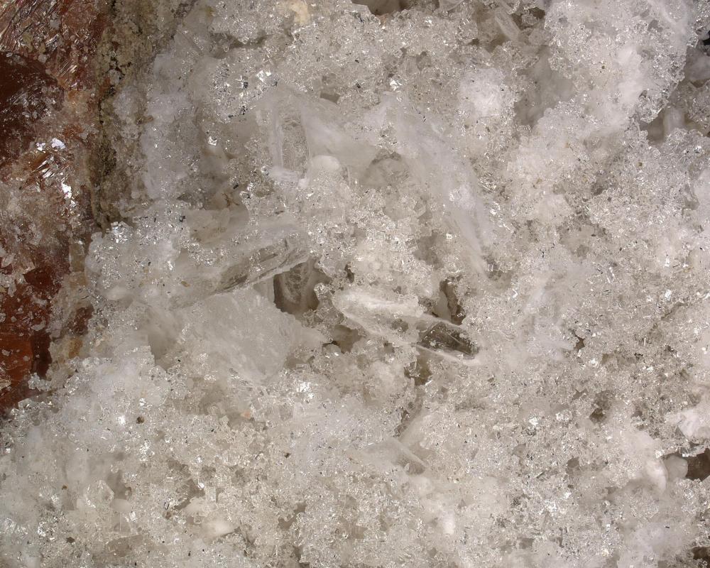 Leonite