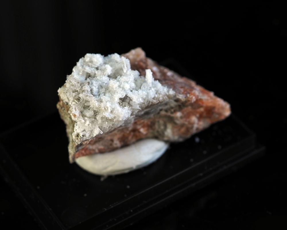 Leonite
