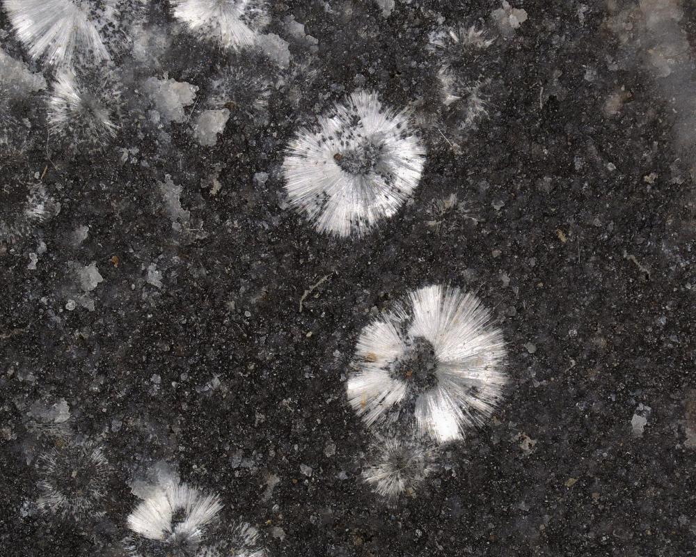 Strontiodresserite
