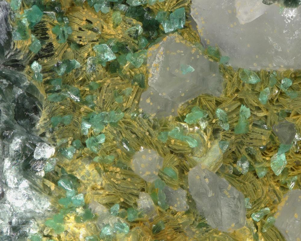 Turquoise