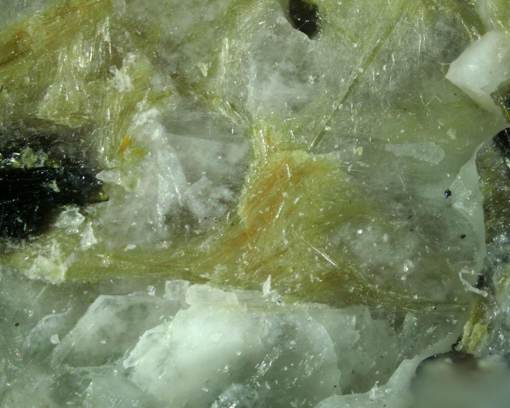 Fluorlamprophyllite